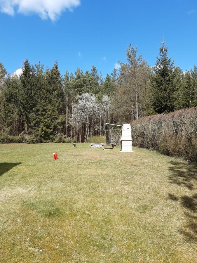 Lesna Polana Villa Górzno Eksteriør bilde